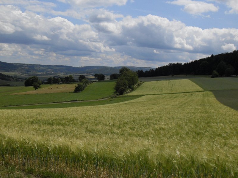 Rhoen-Radmarathon Nichtraucher 594
